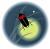 イラスト　ほたる